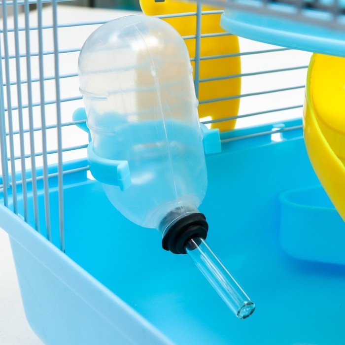 Клетка для грызунов Клетка для грызунов "Пижон", 27 х 21 х 27 см, голубая