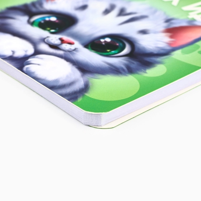 Набор блокнот 48 листов + ручка  Набор блокнот 48 листов + ручка "Котик"