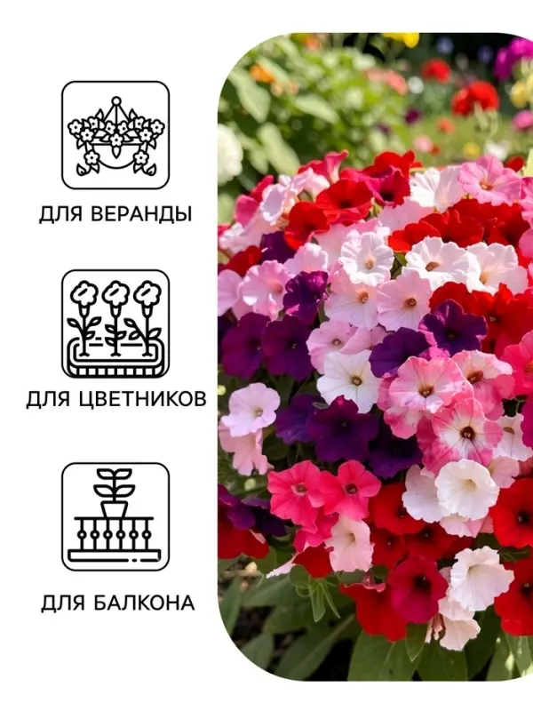 Семена цветов Петуния &laquo;Водопадия&raquo;, смесь сортов, F1, 5 шт., &laquo;АЭЛИТА&raquo;