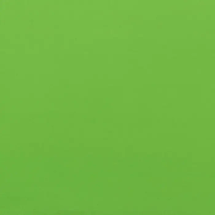 Пленка двухсторонняя для цветов и декора, 0.57×0.57 см, зелёный Пленка двухсторонняя для цветов и декора, 0.57×0.57 см, зелёный