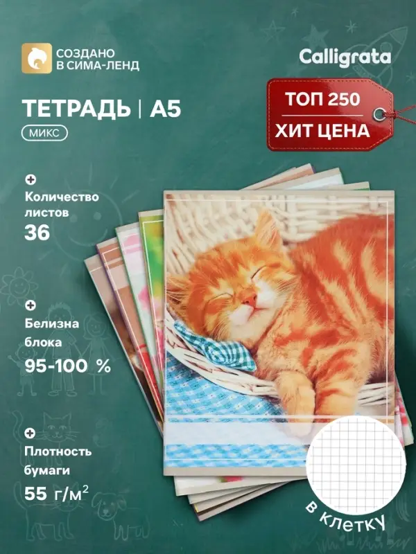 Тетрадь 36 листов в клетку Calligrata &laquo;Котята&raquo;, МИКС