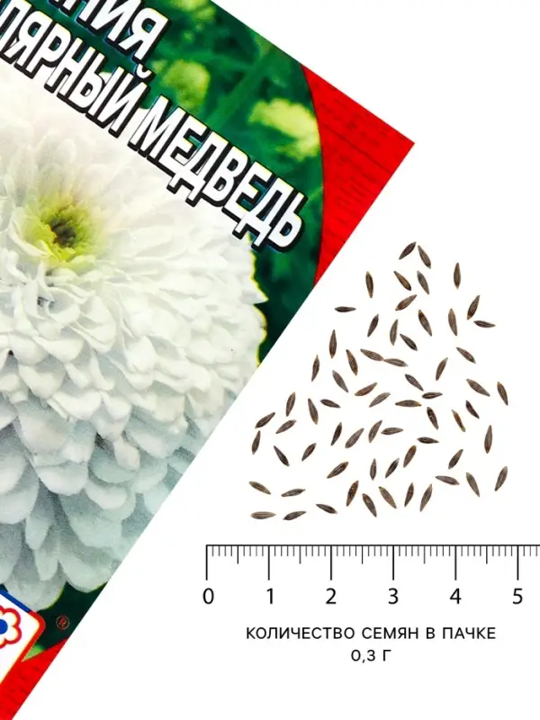 Семена цветов Цинния &laquo;Полярный медведь&raquo;, 0.3 г
