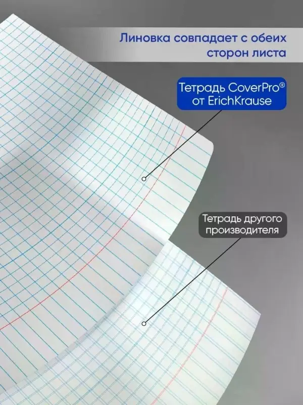Тетрадь ErichKrause &laquo;Классика. CoverPro matt, Pulse&raquo;, 12 листов, в клетку, матовая пластиковая обложка, МИКС