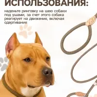 Ринговка для собак, 150&times;1 см, бежевая