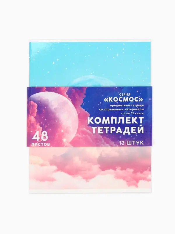 Тетради в клетку, предметные, 48 л., набор из 12 шт., блок №1, Space