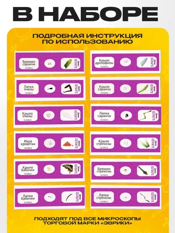 Набор для опытов &laquo;Набор микропрепаратов&raquo;, насекомые