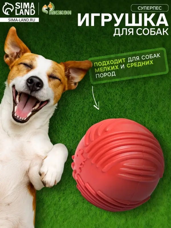 Мяч для собак &laquo;Суперпес&raquo;, 6.5 см, рифленый, TPR, красный