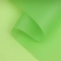 Пленка для цветов, матовая, неоновые цвета, зелёная, 0.57&times;10 м &plusmn;1 см