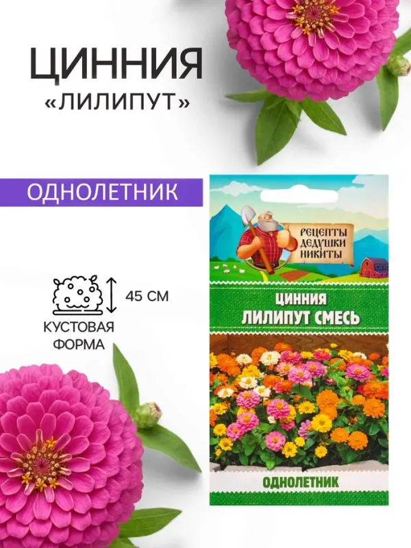 Семена цветов Цинния &laquo;Лилипут&raquo; смесь, 0.2 г, &laquo;Рецепты дедушки Никиты&raquo;