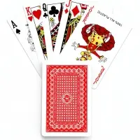 Карты игральные пластиковые Lucky flower, 2 колоды по 54 шт., 8.7&times;5.7 см