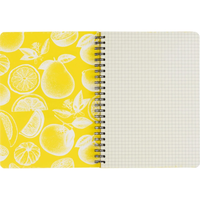 Бизнес-тетрадь  ароматизир.100л,кл,А5, КЛЕМЕНТИН,спир,тонир.блок 84906