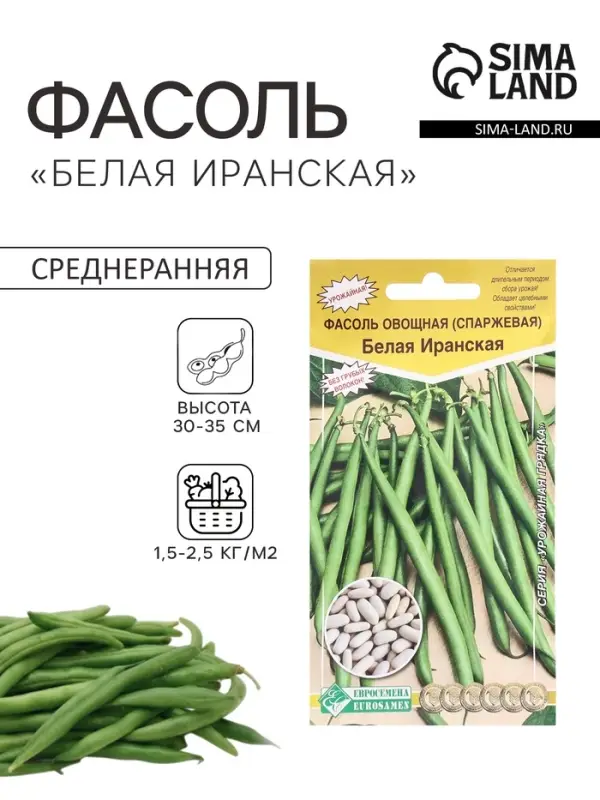 Семена Фасоль овощная, спаржевая &laquo;Белая Иранская&raquo;, 5 г, &laquo;Евросемена&raquo;