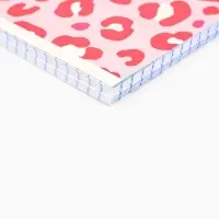Тетрадь в клетку, 48 л., А5, на спирали, блок №1, Pink, МИКС