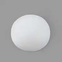 Чашки для бюстгальтера &laquo;Круг&raquo;, 2XL (52), d=16.5 см, пара, белые