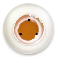 Горшок цветочный с поддоном 5,4 л, d22/h19 см белый керамика, "Перл" (М)