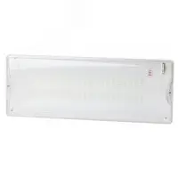 Светильник аварийный DPA-301-1-65 постоянный 40LED 3ч IP65 NiCD
