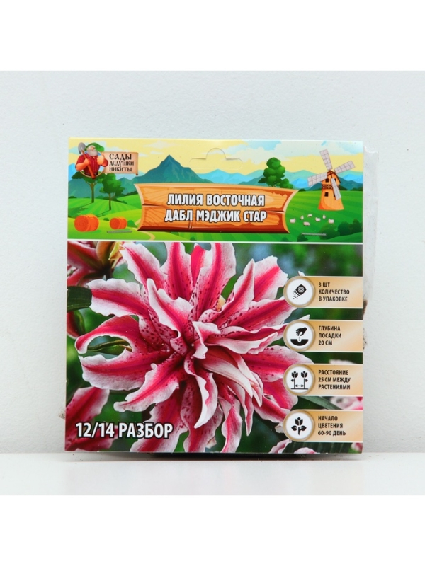 Лилия Восточная «Дабл Мэджик Стар», луковица в пакете с перфорацией, р-р 12/14, 3 шт. Лилия Восточная «Дабл Мэджик Стар», луковица в пакете с перфорацией, р-р 12/14, 3 шт.