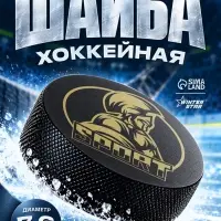Шайба хоккейная Winter Star, взрослая, d=7.6 см
