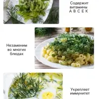 Семена Укроп "Аллигатор",  3г