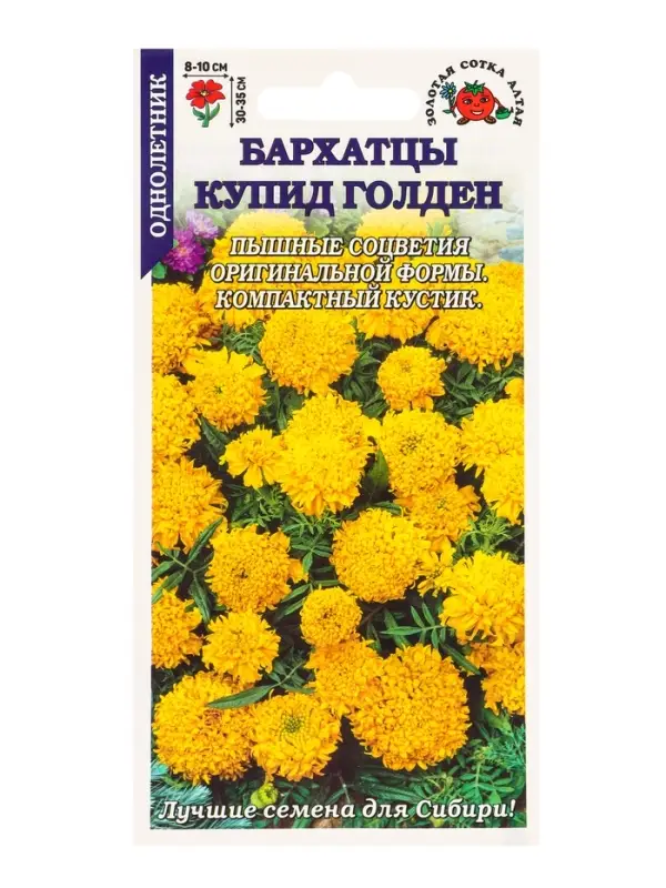 Семена Бархатцы Купид Голден /Сотка/ 0,1г/ прям. 35см, d-10см/*1500 Семена Бархатцы Купид Голден /Сотка/ 0,1г/ прям. 35см, d-10см/*1500