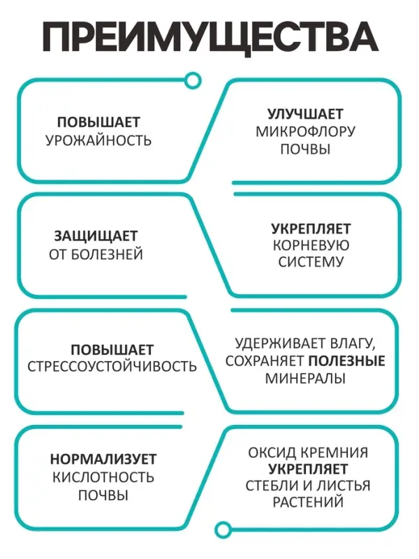 Диатомит &laquo;Рецепты Дедушки Никиты&raquo; сушеный, фр 2-4, 1 л