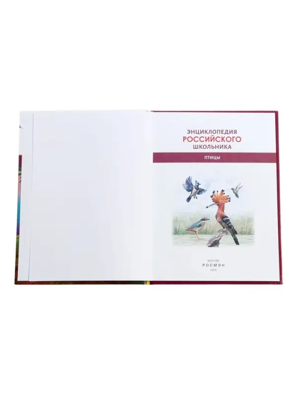 Энциклопедия российского школьника &laquo;Птицы&raquo;