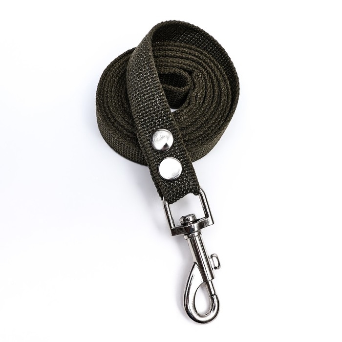 Поводок брезентовый 2 м х 2 см, тёмно-зелёный Поводок брезентовый 2 м х 2 см, тёмно-зелёный