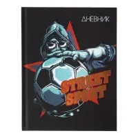 Дневник школьный для 1-11 классов, Street Sport, твёрдая обложка 7БЦ, матовая ламинация, тиснение фольгой, 40 листов