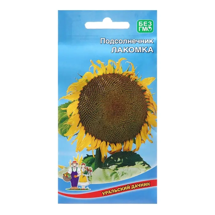 Семена Подсолнечник  Семена Подсолнечник "Лакомка", 5 г