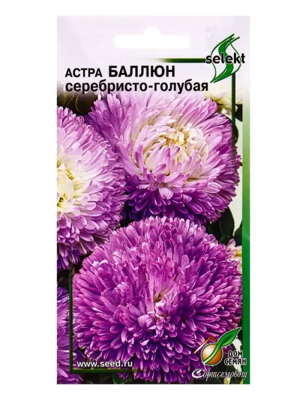 Семена цветов Астра Баллюн  серебристо-голубая 30 шт