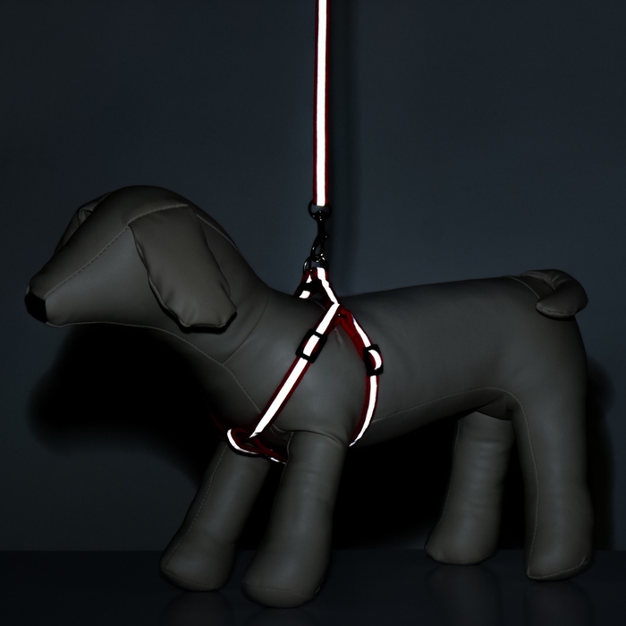 Комплект со светоотражающей лентой, ошейник 120 х 1 см, ОГ 26-40 см, красный Комплект со светоотражающей лентой, ошейник 120 х 1 см, ОГ 26-40 см, красный