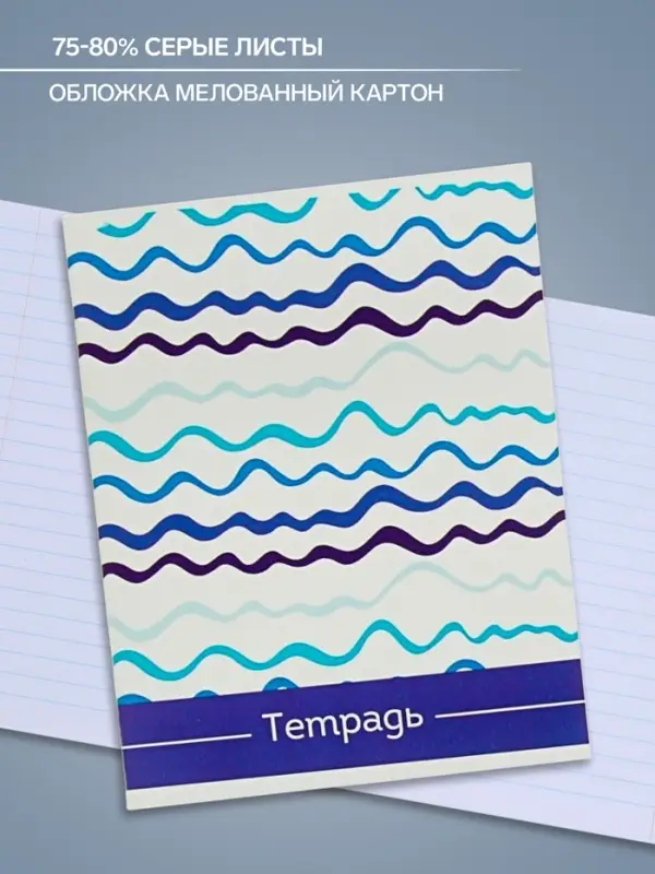 Тетрадь 48 листов в линейку Calligrata «Орнамент», обложка мелованный картон, блок №2, белизна 75% (серые листы), МИКС