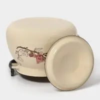 Чайник эмалированный &laquo;Магнолия&raquo;, 3 л, металлическая ручка, слоновой кости