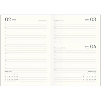 Ежедневник датированный 2026 IF 14х20см 176л, мягкий, Nightfall I1736/train