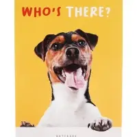 Набор блокнотов А6 32л кл на скобе Кто здесь?, мел карт, бл офс, 4В 20шт