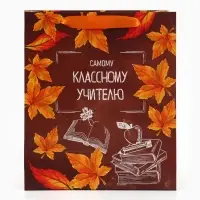 Пакет подарочный ламинированный &laquo;Учитель года&raquo;, ML 27&times;23&times;11.5 см