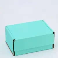 Коробка самосборная, мятная, для подарков, хранения и отправки посылок, 22&times;16.5&times;9.5 см