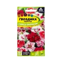 Семена цветов Гвоздика "Перистая", ц/п,  0,1 г Семена цветов Гвоздика "Перистая", ц/п,  0,1 г