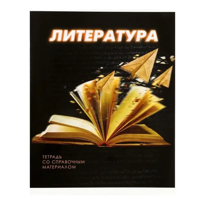 Тетради предметные Calligrata. 3D, 10 предметов, 48 листов, серые листы, со справочным материалом, обложка из мелованного картона