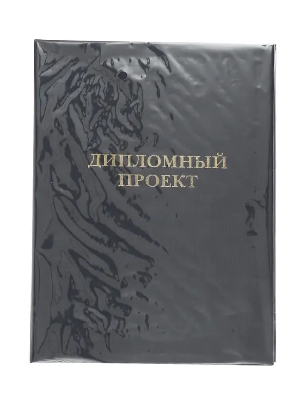 Папка &laquo;Дипломный проект&raquo; А4 бумвинил, гребешки/сутаж, без бумаги, синяя (вместимость до 150 листов)