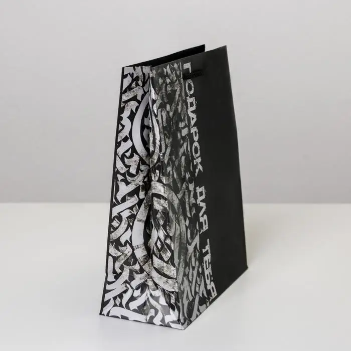 Пакет подарочный ламинированный, упаковка, «Present for you», MS 18 х 23 х 8 см