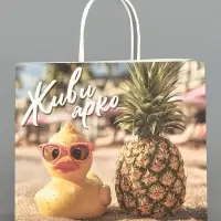 Пакет подарочный крафтовый &laquo;Утки&raquo;, 25 &times; 22 &times; 12 см