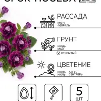 Семена цветов Глоксиния &laquo;Брокэйд&raquo;, фиолетовая, F1, 5 шт., &laquo;Престиж семена&raquo;