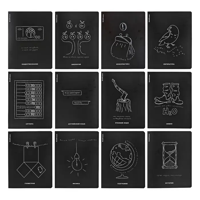 Набор предметных тетрадей ErichKrause &laquo;Зри в корень&raquo;, 12 предметов, 48 листов, со справочным материалом, пластиковая обложка