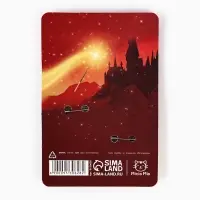 Значки деревянные, неразлучники &laquo;Наша дружба это магия&raquo;, 2 шт., 8&times;12 см