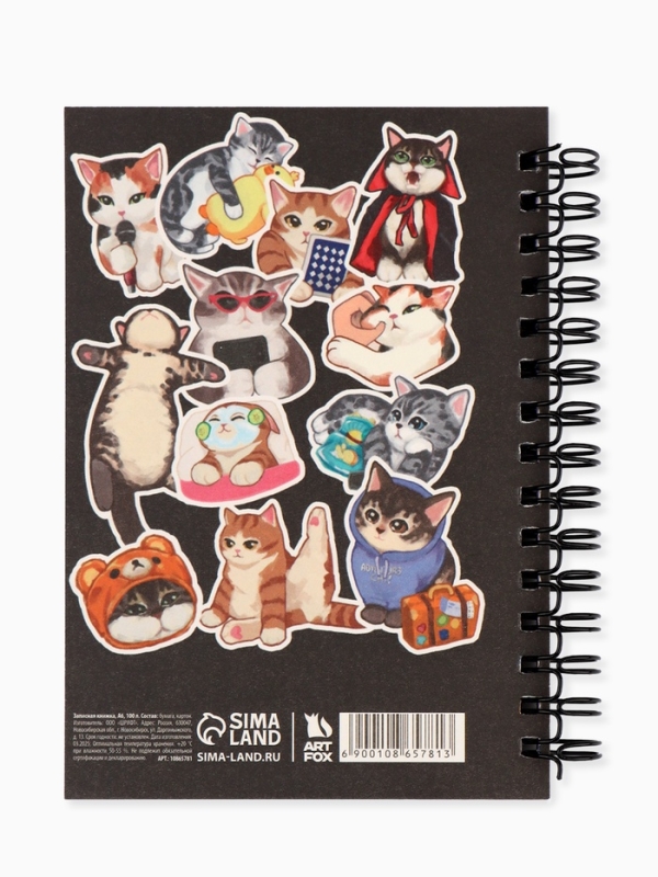 Записная книжка А6, 100 листов, в клетку  Записная книжка А6, 100 листов, в клетку "Мемные коты"
