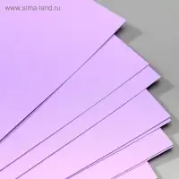 Бумага для скрапбукинга Mr.Painter "Душистая сирень" 30,5х30,5 см 216гр/м2 Бумага для скрапбукинга Mr.Painter "Душистая сирень" 30,5х30,5 см 216гр/м2