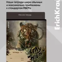 Тетрадь 24 листа в линейку ErichKrause Stay Wild, 60 г/м&sup2;, обложка мелованный картон, МИКС