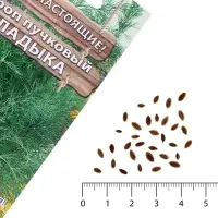 Семена Укроп пучковый &laquo;Владыка&raquo;, 1 г, Premium seeds