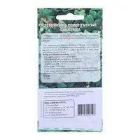 Семена "Растет дома и на даче" Земляника Сашенька  10 шт Семена "Растет дома и на даче" Земляника Сашенька  10 шт